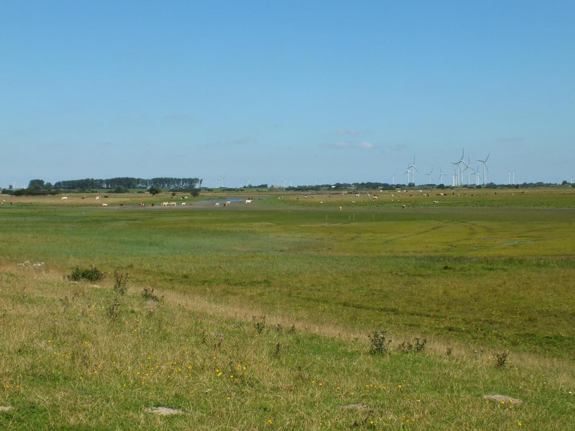 Ferienwohnung In Osterdeichstrich Oesterdeichstrich Екстериор снимка